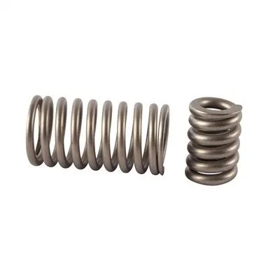 HC 276 Resistant Kowozyon Helical Springs